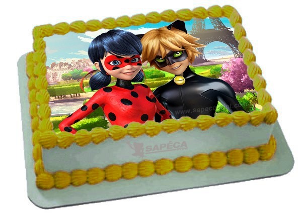 Bolo Ladybug e cat noir