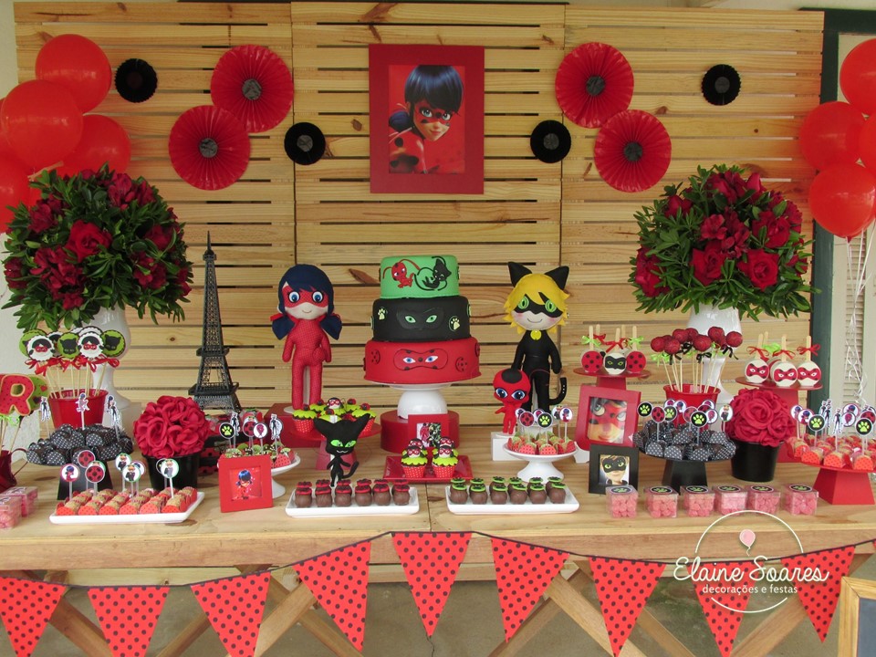 festa ladybug e cat noir