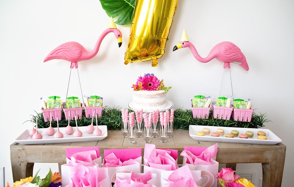 festa flamingo rosa