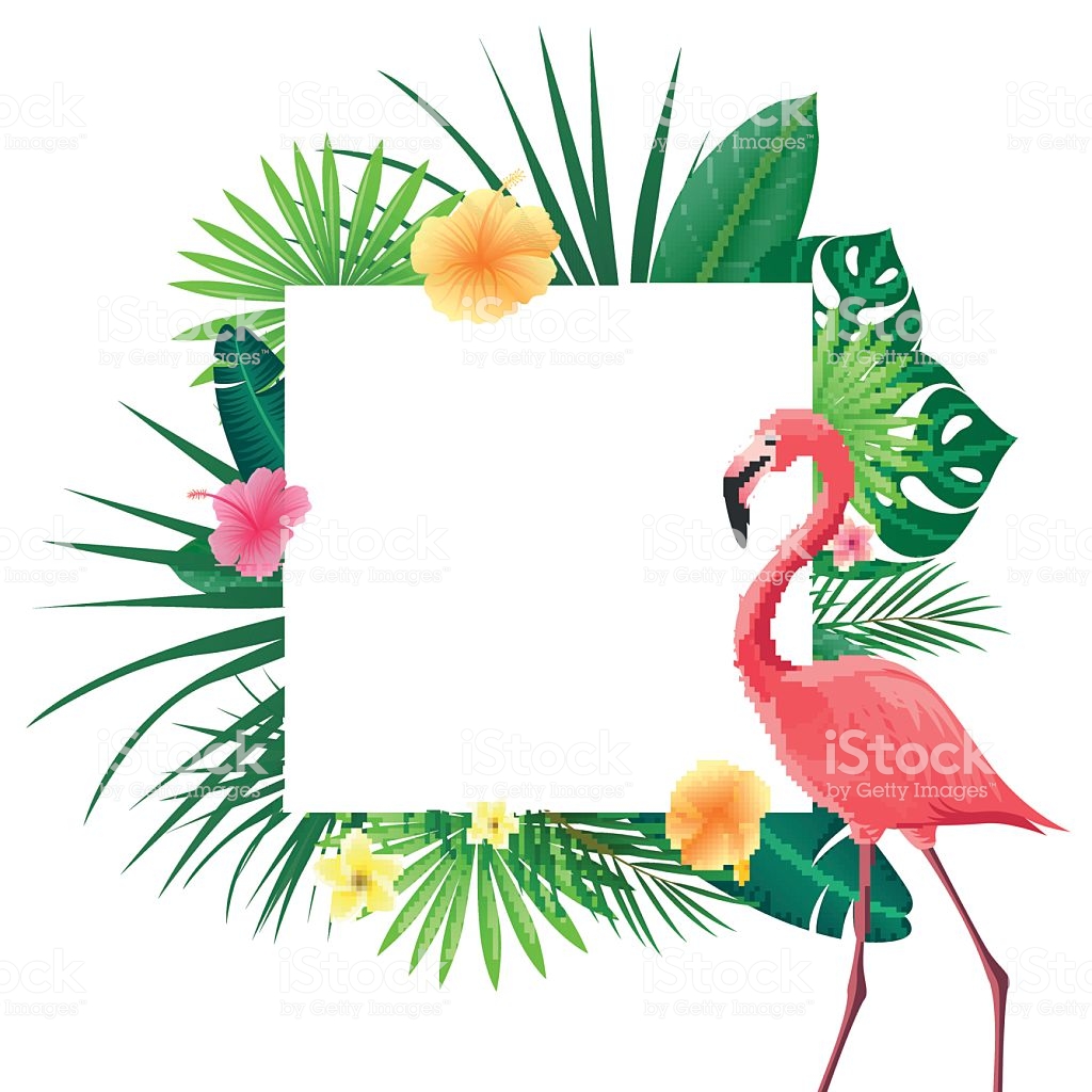 convite de flamingo em branco