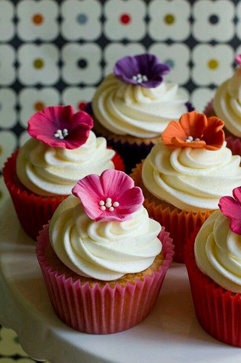 cupcake moana Chantilly