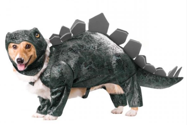 fantasia de dinossauro Para Cachorro