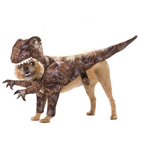 fantasia de dinossauro Para Cachorro