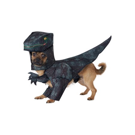 fantasia de dinossauro Para Cachorro