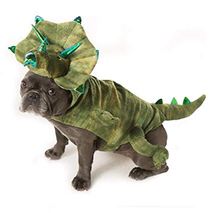 fantasia de dinossauro Para Cachorro