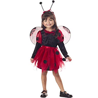fantasia ladybug Infantil