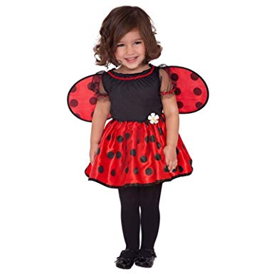 fantasia ladybug Infantil