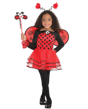 fantasia ladybug Vestido