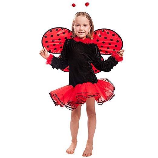 fantasia ladybug Vestido