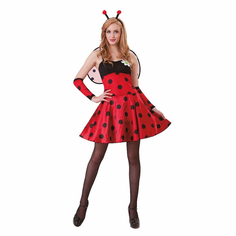 fantasia ladybug Vestido