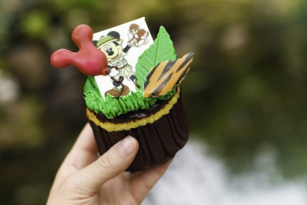 Cupcake Safari Safari Mickey