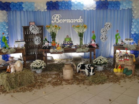 festa fazendinha Azul