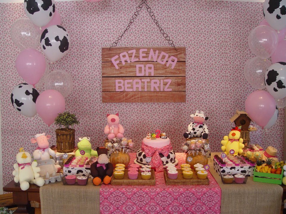 festa fazendinha Rosa