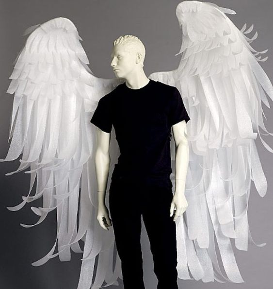 fantasia de anjo Masculina