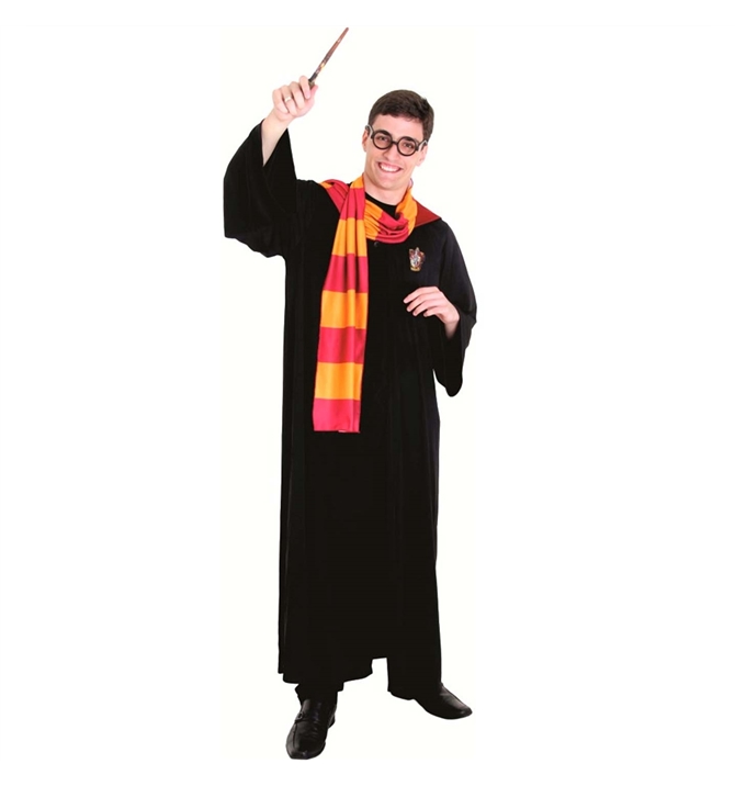 fantasia harry potter Masculina