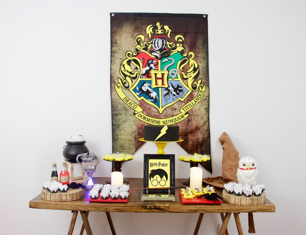 Festa de aniversário simples Harry Potter