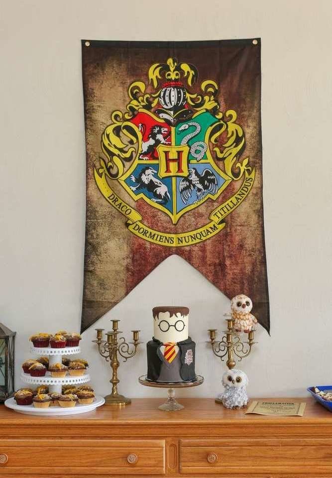 Festa de aniversário simples Harry Potter