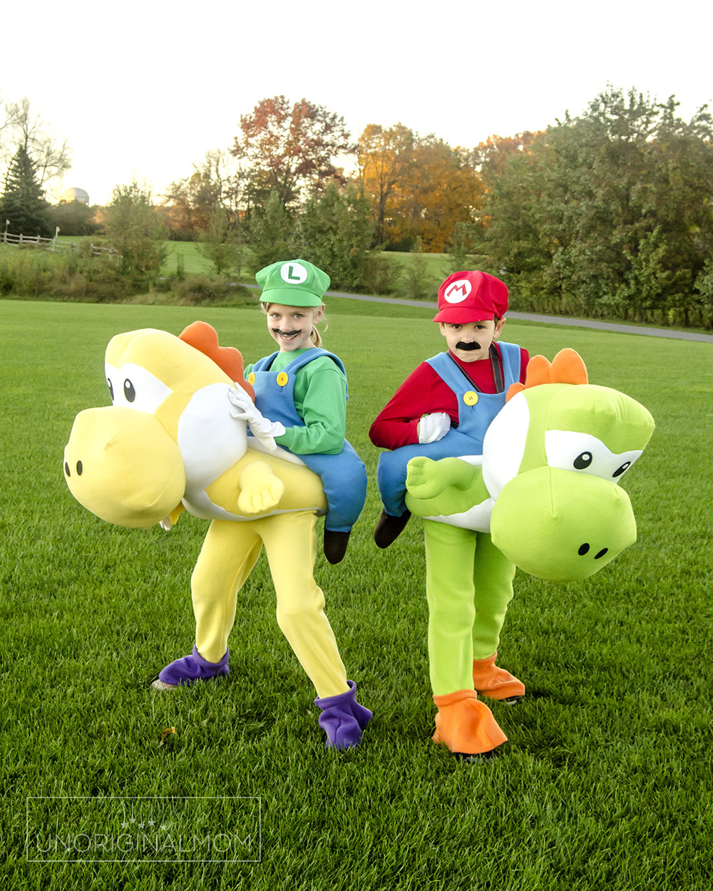 Fantasia Mario e Luigi Como fazer, passo a passo