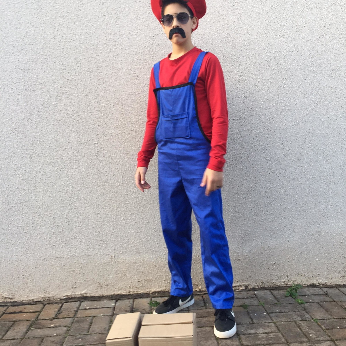 Fantasia Mario e Luigi Masculino