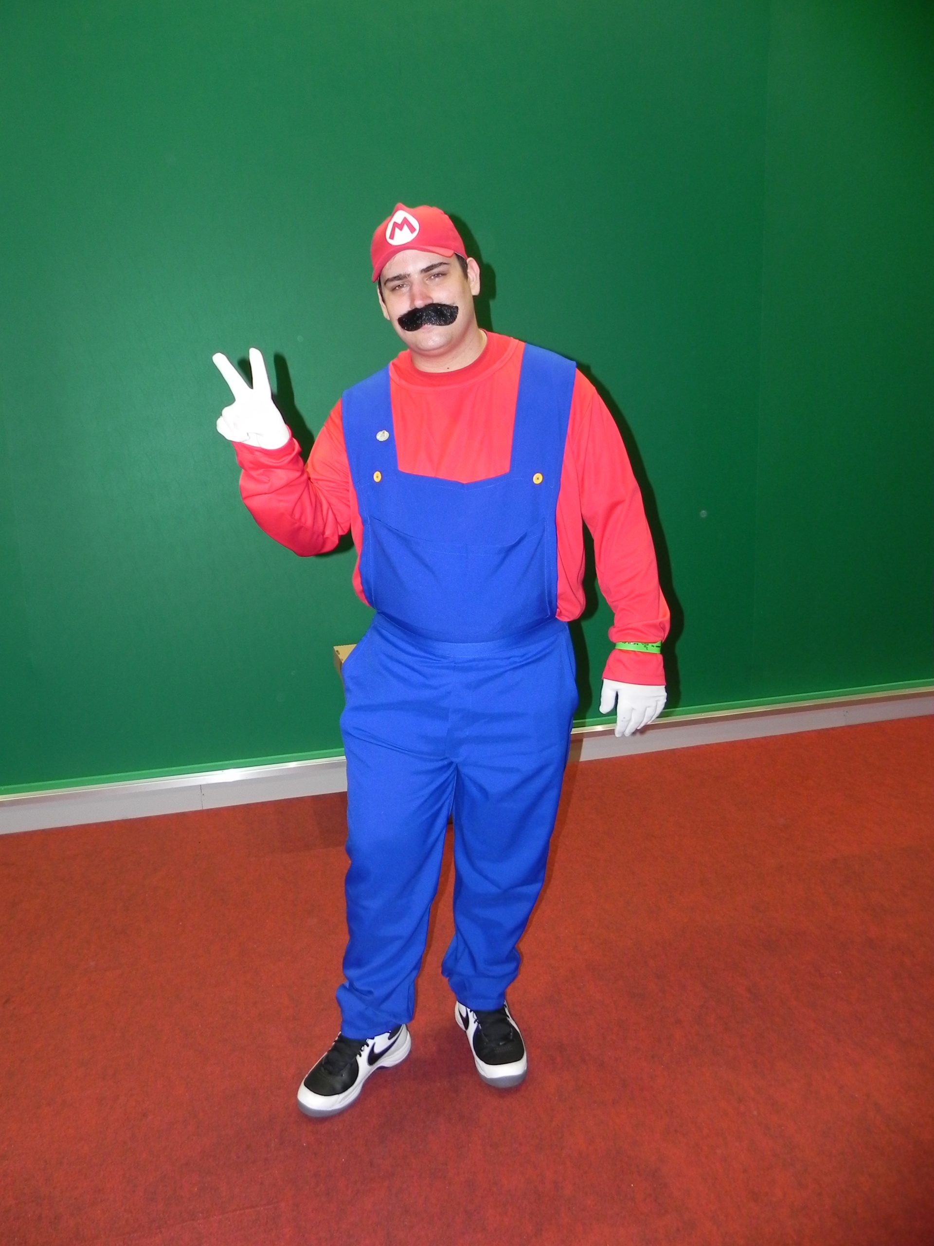 Fantasia Mario e Luigi Masculino